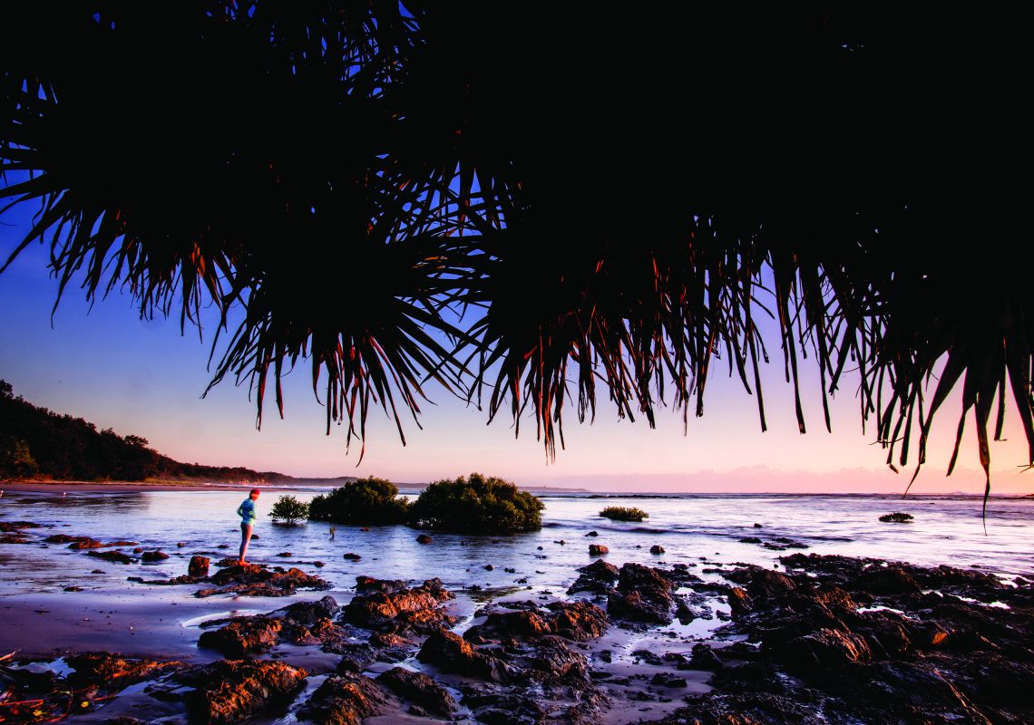 Clarence Valley Maps, Attractions & Events